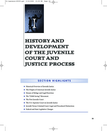 History And Development Of The Juvenile Court And Justice Process