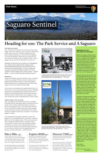 Saguaro Sentinel - National Park Service
