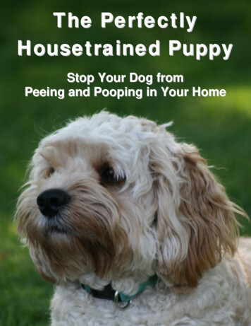 The Perfectly Housetrained Puppy - BookLocker 