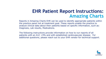 EHR Patient Report Instructions: Amazing Charts