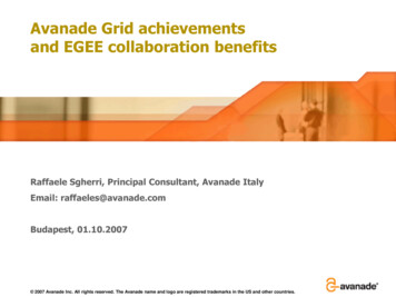 Avanade Grid Achievements And EGEE Collaboration Benefits