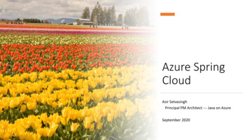 Azure Spring Cloud - Microsoft