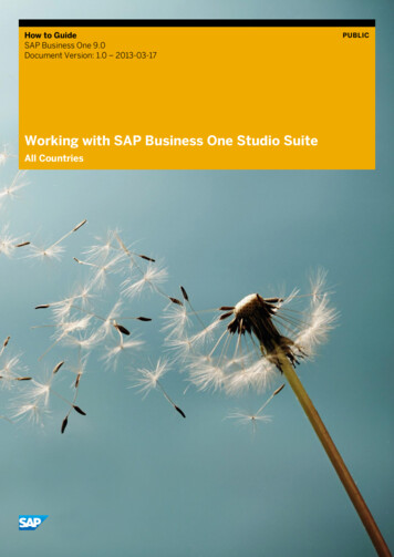 Working With SAP Business One Studio Suite - MEPA-DATA AG, Switzerland
