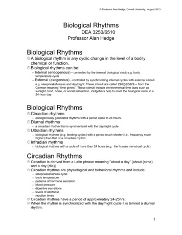 Biological Rhythms - Cornell University