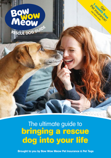 The Ultimate Guide To Bringing A Rescue Dog Into Your Life - BWM