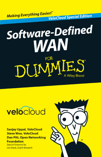 Software‐Defined WAN For Dummies
