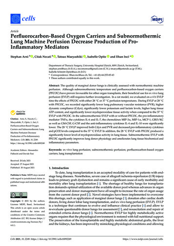 Lung Machine Perfusion Decrease Production Of Pro-