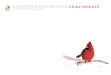 COMM0N BIRDS OF OHIO Cd Guidebook