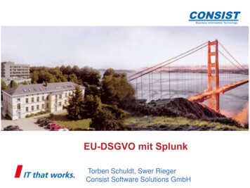 Torben Schuldt, Swer Rieger Consist Software Solutions GmbH - NetUSE