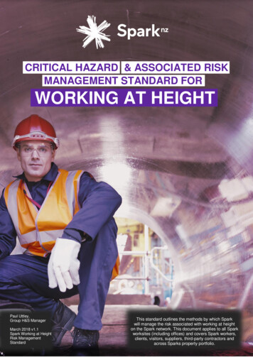 Critical Hazards And Associated Risk Management Standards For Working .