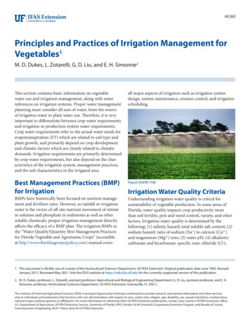 Principles And Practices Of Irrigation Management For Vegetables