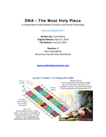 DNA - The Most Holy Place