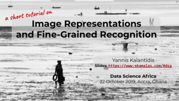Image Representations And Fine-Grained Recognition