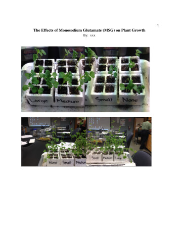 The Effects Of Monosodium Glutamate (MSG) On Plant Growth