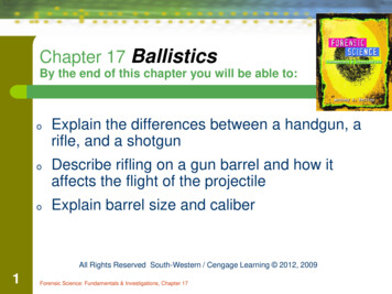 Chapter 17 Ballistics - Vegas Satisfies