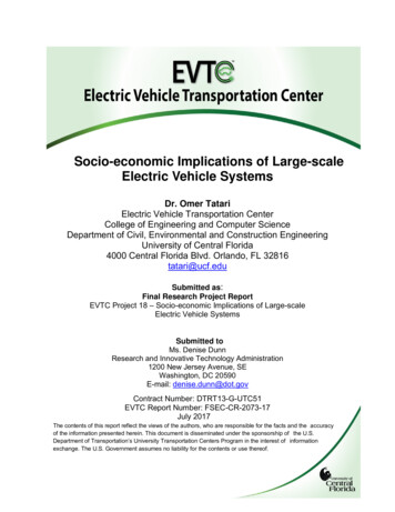 Socio-economic Implications Of Large-scale Electric Vehicle Systems