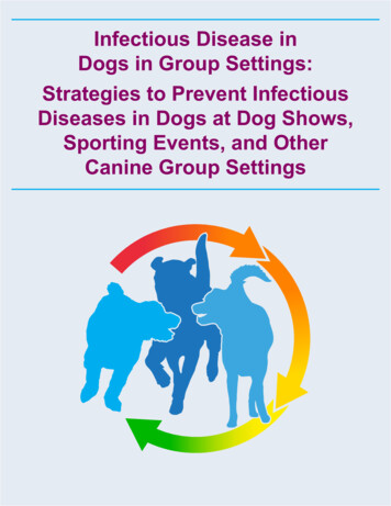 Infectious Disease In Dogs In Group Settings: Strategies To Prevent .