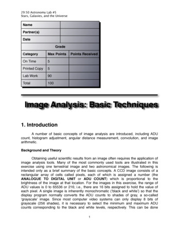 Image Analysis: Basic Techniques - University Of Iowa