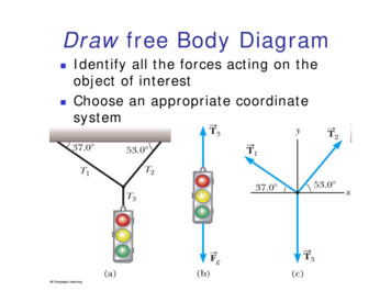 Draw Free Body Diagram - Department Of Physics