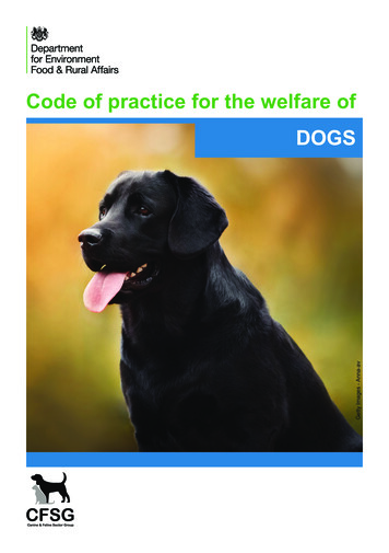 Code Of Practice For The Welfare Of Dogs - GOV.UK