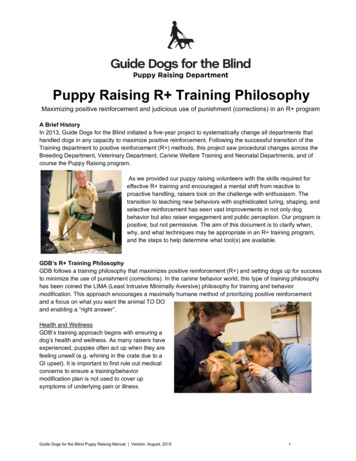 Puppy Raising Department Puppy Raising R Training Philosophy