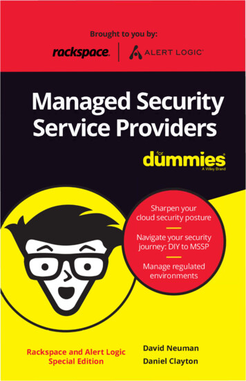 Managed Security Service Providers DUmmieS