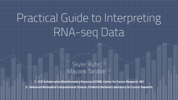 Practical Guide To Interpreting RNA-seq Data