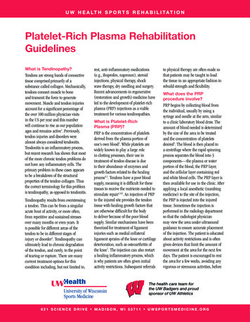Platelet-rich Plasma Rehabilitation Guidelines - UW Health