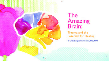The Amazing Brain - Dhss.alaska.gov