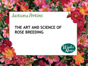 The Art And Science Of Rose Breeding