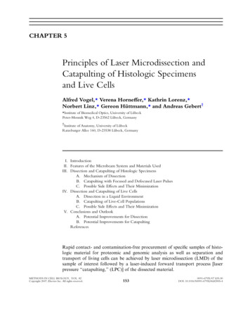 Principles Of Laser Microdissection And Catapulting Of Histologic .