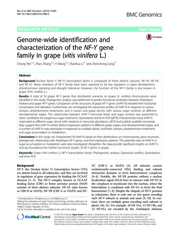 Genome-wide Identification And Characterization Of The NF-Y Gene Family .