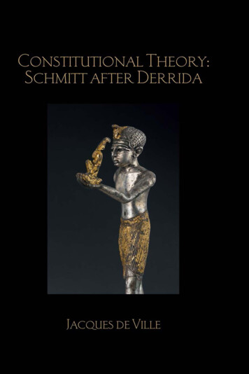 Constitutional Theory: Schmitt After Derrida - OAPEN