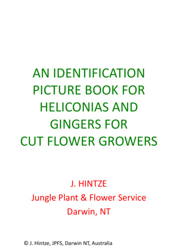 An Identification Picture Book For Heliconias And