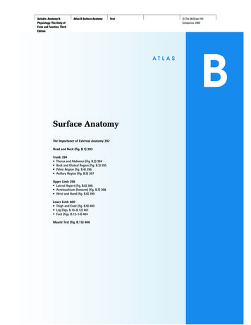 Surface Anatomy - KSU Faculty