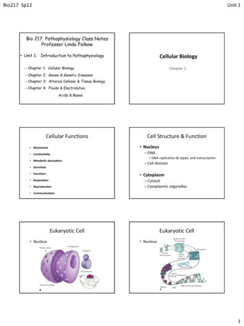Unit 1: Introduction To Pathophysiology Cellular Biology