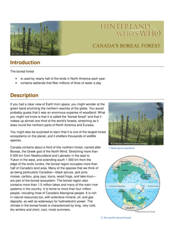 Factsheet Boreal Forest En - Hww.ca