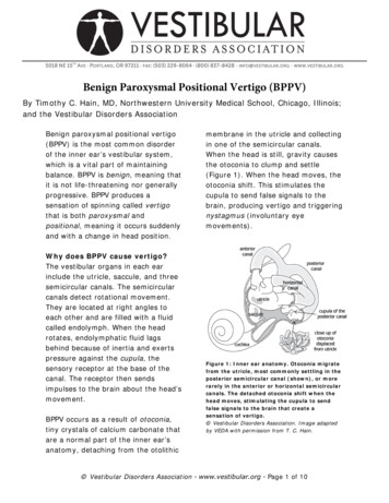 Benign Paroxysmal Positional Vertigo (BPPV) - VeDA