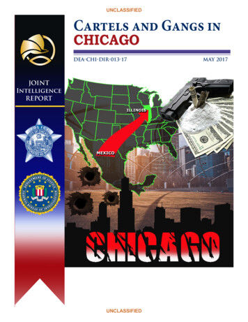 DIR-013-17 Cartel And Gangs In Chicago - Unclassified