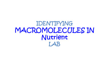 IDENTIFYING MACROMOLECULES IN FOOD LAB - Dr. Ausman's Classroom