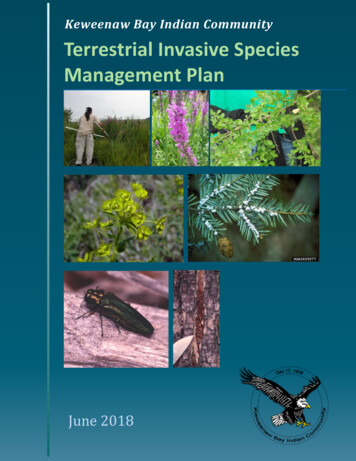 Terrestrial Invasive Species Management Plan