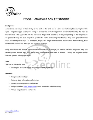 Frogs - Anatomy And Physiology