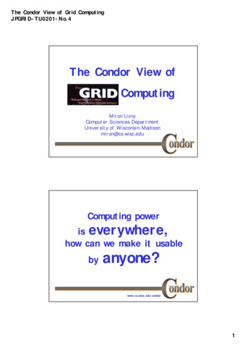 The Condor View Of Computing