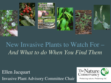 New Invasive Plants To Watch For - Purdue University