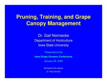 Pruning, Training, And Grape Canopy Management - Minnesota Hardy
