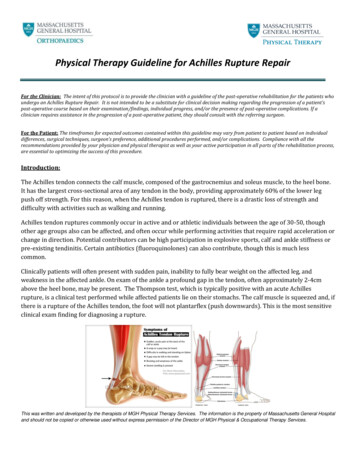 Physical Therapy Guideline For Achilles Rupture Repair