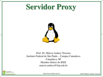 Servidor Proxy - 200.133.218.36:8005