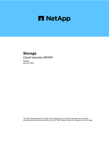 Storage : Cloud Volumes ONTAP