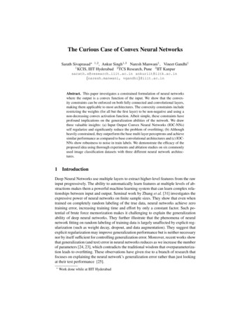 The Curious Case Of Convex Neural Networks - ECML PKDD