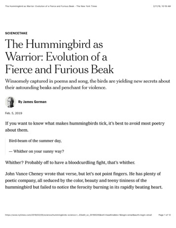 SCIENCETAKE The Hummingbird As Warrior: Evolution Of A Fierce And .